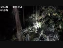 《アーカイブ》心霊NKタクシーReturns②