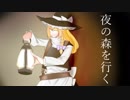 夜の森を行く