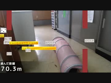 犯人は、にゃじらさんじゃ無かった！