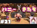 バニー誕生(*´ω｀*)【ドラゴンクエストビルダーズ２】： 21