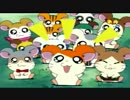 【海外版OP】とっとこハム太郎 アラビア語版
