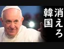 韓国外しが世界中で加速する中、ドイツで起きた韓国企業排除に文在寅涙目火病！