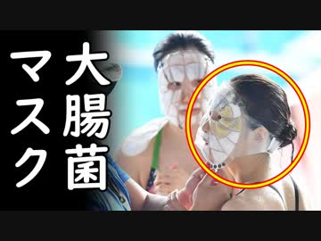 韓国で世界水泳大会組織委の準備状況説明がいつものケンチャナヨ臭全開で草