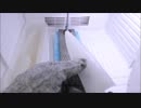 ホモと見る氷の包丁を作る不審者.ice_cotton