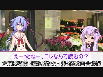 【劇場】花屋鳴花【芍薬】