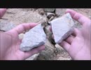 ホモと見る森の中で石包丁を作る不審者.stone_tool