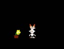花の動画３
