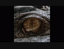 ゴジラのテーマ(Godzilla's Theme Remix)