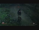 【SEKIRO:SHADOWS DIE TWICE】SnowSkyがのんびりとプレイ part12 太刀足戦･七面武者チラ見せ【隻狼】