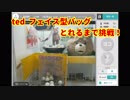 ted  フェイス型バッグ  とれるまで挑戦！