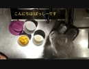 アンチエイジングスイーツ『マンゴープリン』