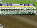 [海外競馬]　第20回 BCジュヴェナイルフィリーズ Half Bridled