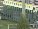 [海外競馬]　第21回 BCターフ Better Talk Now