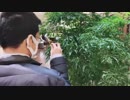 大物YouTubeｒ 横浜を訪れる