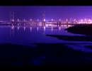 続・好きな音楽テーマ別うｐ・女声編ⅩⅣ