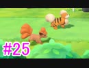 【ピカブイ】ポケモンの世界を大冒険☆パート25【実況】