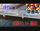 【茶香丸】釣りしてる所を鳥が見たらこうなるｗ【ドローン】