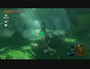 【実況】十五の掟で挑むブレスオブザワイルド～part.65～