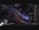 歴戦王ネルギガンテ　ガンランス　8’57’’25(無編集)