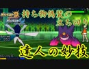 【ポケモンUSM】神剣で成敗するシングルレートPart16【準伝スタン】