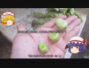 ゆっくり農民106畑を乗っ取ってみませんか？#7