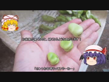 ゆっくり農民106畑を乗っ取ってみませんか？#7