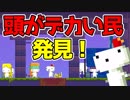 【実況】fezってゲームを知ってるかい？　9回転
