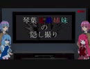 琴葉兄弟姉妹の隠し撮り【The Endless Stairwell】