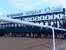 [海外競馬]　第07回 UAEダービー Discreet Cat