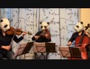 Super Mario Bros.Medley【パンダが弾く】スーパーマリオメドレー(Violin.Viola.Cello）