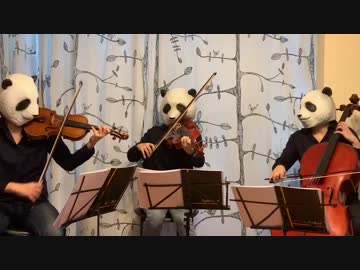 Super Mario Bros.Medley【パンダが弾く】スーパーマリオメドレー(Violin.Viola.Cello）