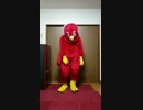 赤い鳥がsoar踊ってみた