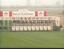 [海外競馬]　第67回 カナディアン国際S Sulamani