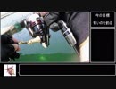 暇つぶしフィッシング part4 海上釣堀の流儀