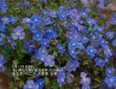 誕生日に贈る言葉～5月17日生まれの世渡り上手なあなたに－聴きものがたり