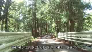 陸前落合駅から大国神社サイクリング（田舎道ほのぼのゆるり）