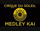 【原曲メドレー】Cirque du Soleil Medley Kai