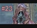 Bloodborne 最高難易度7周目 本編＆DLC全ボス撃破 全ED制覇 実況プレイ #23