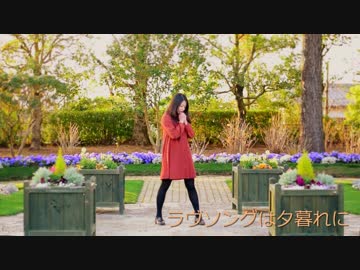 ❥【胡蝶*】ラヴソングは夕暮れに【踊ってみた】