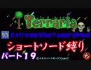[Terraria+MOD]　ショートソード縛りEX パート１９　[ゆっくり実況]