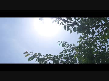 【ちゅん】だから僕は音楽を辞めた【踊ってみた】