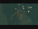 依頼を受けて、自爆して着水しＨＰ０のまま遊べるようにしたかった
