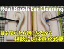 【ASMR】溝まで丁寧にゴムブラシで耳介耳かき【音フェチ】
