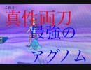 意思を貫け!「ポケモンusum実況！」第十六回　初心者だけどよろしくね？　意思両刀!!