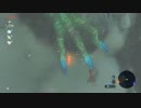 依頼を受けて、コッコの攻撃をドラゴンに当ててみた