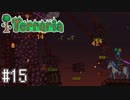 【Terraria】U　C　テ　ラ　リ　ア　part15【縛り実況】