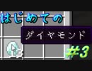 ドキッ！初心者だらけのマインクラフト【2人実況】part3