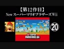 Newスーパーマリオブラザーズ（Wii）実況 part20【ノンケのマリオゲームツアー】