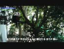 【まりP MAD】あつまれ！まーりーピーポー[再アップ]