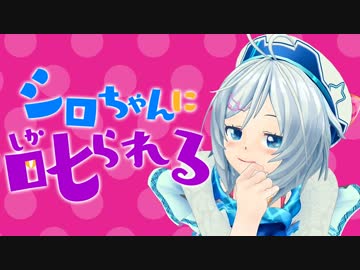 【シロちゃんに】「バイバイの時手を振るのはなぜ？」あなたは答えられる？！【叱られる】　